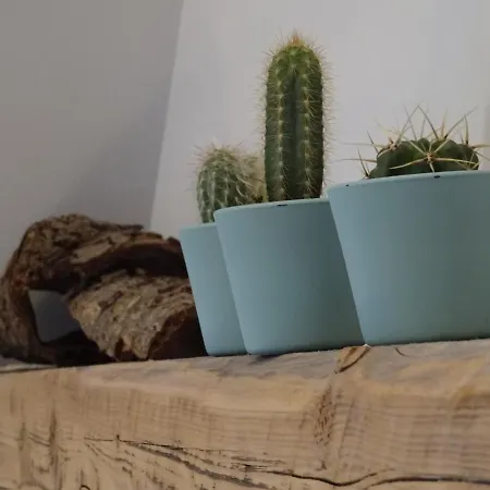 Schickes Dachgeschossloft *