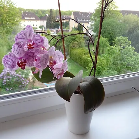 Апартаменты Schickes Dachgeschossloft *